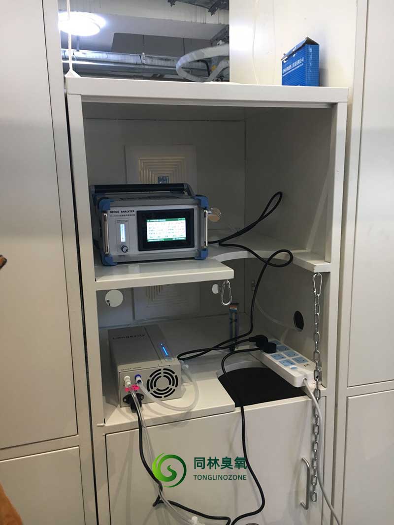 Longevity高精度香蕉视频下载发生器