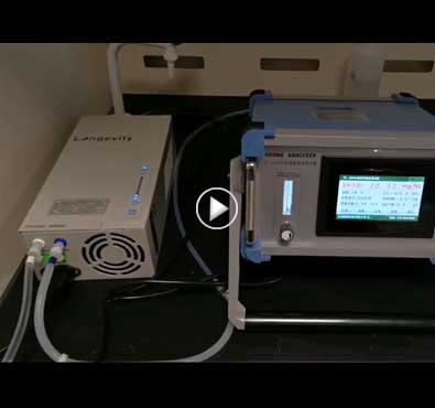 Longevity香蕉视频下载高级氧化香蕉视频APP污在线观看